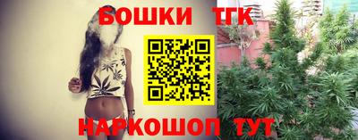 прущие крисы Шелехов