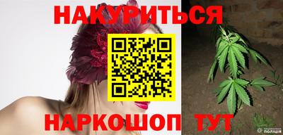 прущие крисы Шелехов